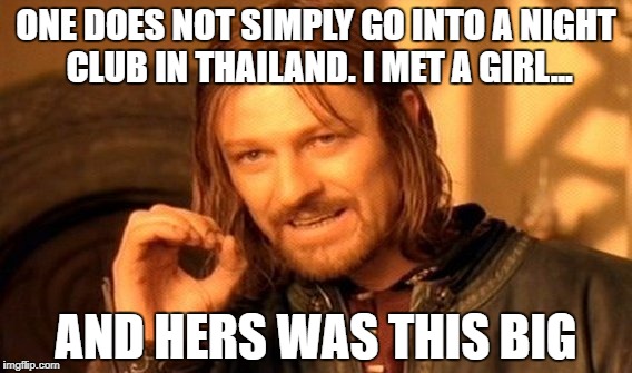 And I was afraid to get wasted that night, I pretended that root beer was vodka. Still don't know how my a**h*le is swelling. | ONE DOES NOT SIMPLY GO INTO A NIGHT CLUB IN THAILAND. I MET A GIRL... AND HERS WAS THIS BIG | image tagged in memes,one does not simply,funny,funny memes,thailand,wasted | made w/ Imgflip meme maker