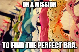 Bras | ON A MISSION; TO FIND THE PERFECT BRA. | image tagged in bras | made w/ Imgflip meme maker