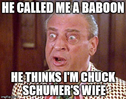 HE CALLED ME A BABOON; HE THINKS I'M CHUCK SCHUMER'S WIFE | image tagged in chuck schumer | made w/ Imgflip meme maker