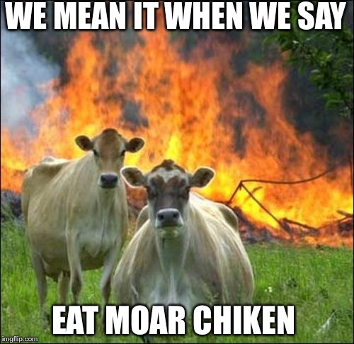 Evil Cows | WE MEAN IT WHEN WE SAY; EAT MOAR CHIKEN | image tagged in memes,evil cows | made w/ Imgflip meme maker