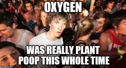 Sudden Clarity Clarence Meme | OXYGEN; WAS REALLY PLANT POOP THIS WHOLE TIME | image tagged in memes,sudden clarity clarence | made w/ Imgflip meme maker