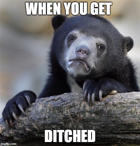 Confession Bear Meme | WHEN YOU GET; DITCHED | image tagged in memes,confession bear | made w/ Imgflip meme maker