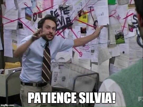 Pepe Silvia | PATIENCE SILVIA! | image tagged in pepe silvia | made w/ Imgflip meme maker