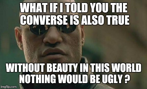 Matrix Morpheus Meme | WHAT IF I TOLD YOU THE CONVERSE IS ALSO TRUE WITHOUT BEAUTY IN THIS WORLD NOTHING WOULD BE UGLY ? | image tagged in memes,matrix morpheus | made w/ Imgflip meme maker