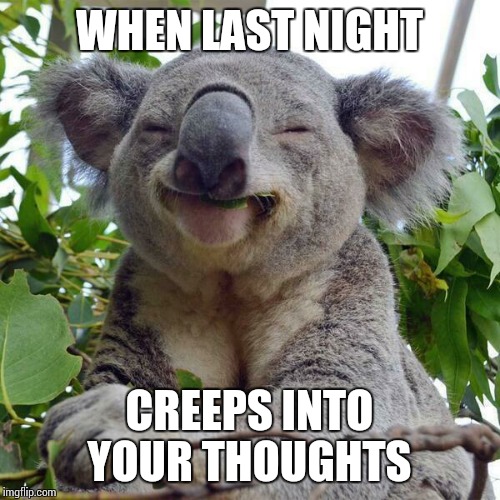 Smiling Koala | WHEN LAST NIGHT; CREEPS INTO YOUR THOUGHTS | image tagged in smiling koala | made w/ Imgflip meme maker