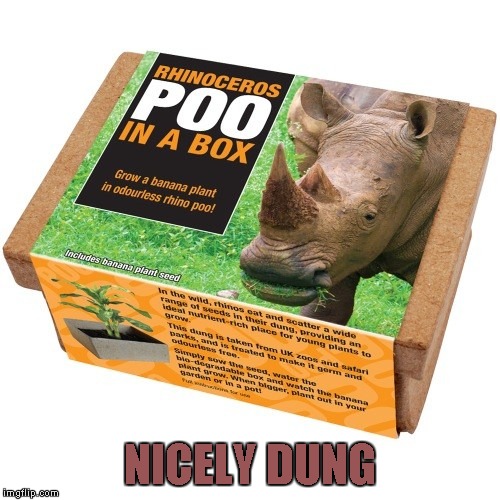 Box | NICELY DUNG | image tagged in memes,funny,poo,rhinoceros,nicely dung,box | made w/ Imgflip meme maker