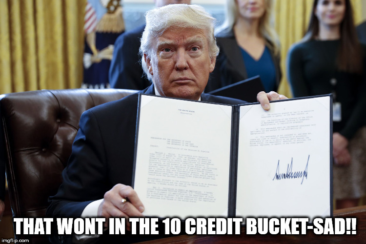 Donald Trump Executive Order | THAT WONT IN THE 10 CREDIT BUCKET-SAD!! | image tagged in donald trump executive order | made w/ Imgflip meme maker