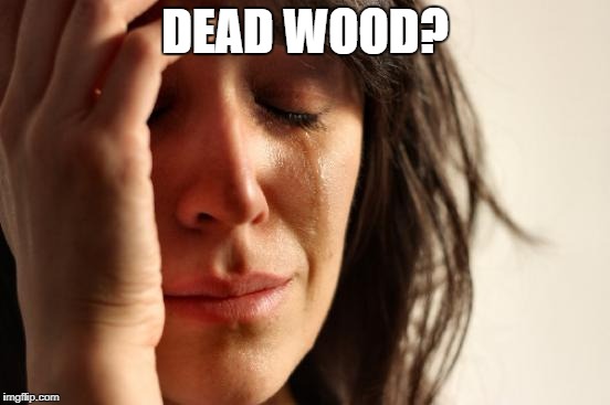 First World Problems Meme | DEAD WOOD? | image tagged in memes,first world problems | made w/ Imgflip meme maker