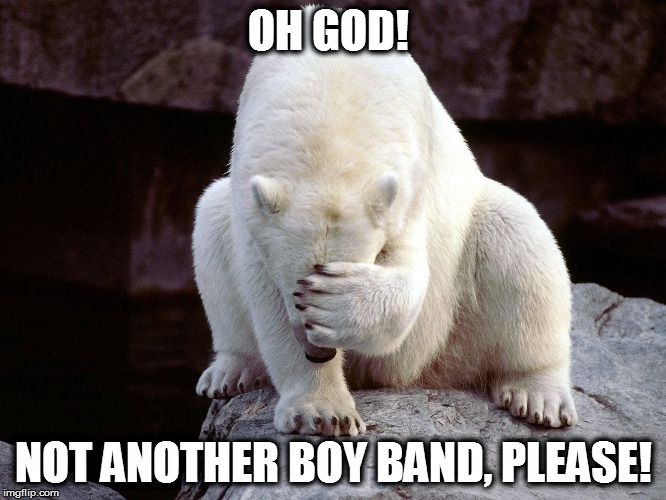 OH GOD! NOT ANOTHER BOY BAND, PLEASE! | made w/ Imgflip meme maker