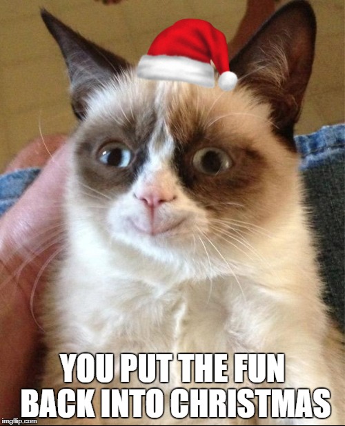 YOU PUT THE FUN BACK INTO CHRISTMAS | made w/ Imgflip meme maker