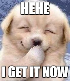 laughing cute puppy, by MEMEPRO1 | HEHE; I GET IT NOW | image tagged in laughing cute puppy by memepro1 | made w/ Imgflip meme maker