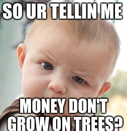 Skeptical Baby | SO UR TELLIN ME; MONEY DON'T GROW ON TREES? | image tagged in memes,skeptical baby | made w/ Imgflip meme maker