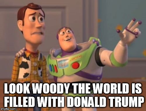 X, X Everywhere | LOOK WOODY THE WORLD IS FILLED WITH DONALD TRUMP | image tagged in memes,x x everywhere | made w/ Imgflip meme maker