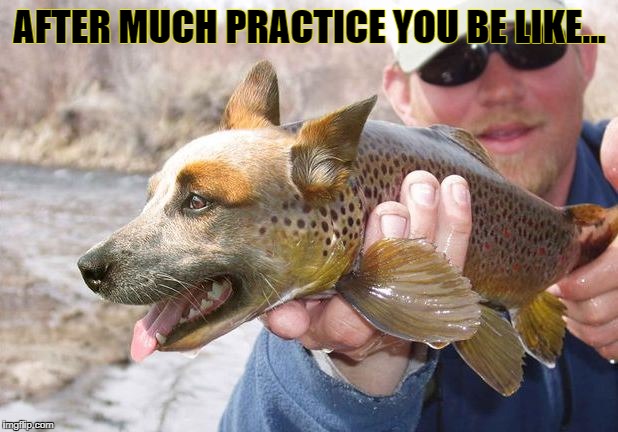 AFTER MUCH PRACTICE YOU BE LIKE... | made w/ Imgflip meme maker