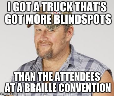 The Story of My Life | I GOT A TRUCK THAT'S GOT MORE BLINDSPOTS; THAN THE ATTENDEES AT A BRAILLE CONVENTION | image tagged in memes,larry the cable guy | made w/ Imgflip meme maker