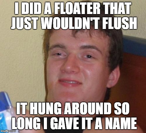 10 Guy Meme | I DID A FLOATER THAT JUST WOULDN'T FLUSH IT HUNG AROUND SO LONG I GAVE IT A NAME | image tagged in memes,10 guy | made w/ Imgflip meme maker