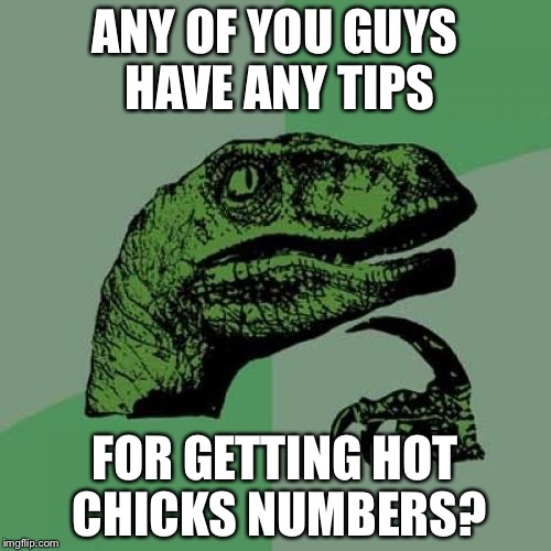 Philosoraptor | ANY OF YOU GUYS HAVE ANY TIPS; FOR GETTING HOT CHICKS NUMBERS? | image tagged in memes,philosoraptor,hot chicks | made w/ Imgflip meme maker