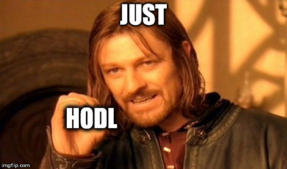 One Does Not Simply | JUST; HODL | image tagged in memes,one does not simply | made w/ Imgflip meme maker