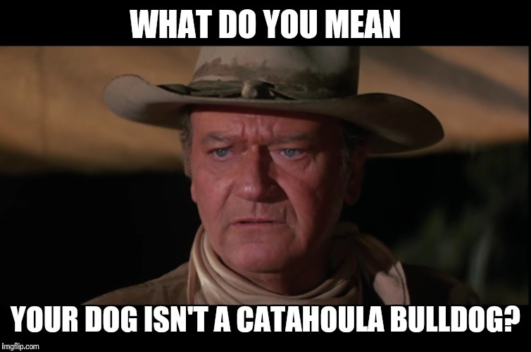 John Wayne's dog | image tagged in john wayne,dog,catahoula | made w/ Imgflip meme maker