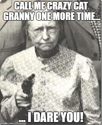 Crazy Cat Granny | CALL ME CRAZY CAT GRANNY ONE MORE TIME... ... I DARE YOU! | image tagged in crazy cat lady | made w/ Imgflip meme maker