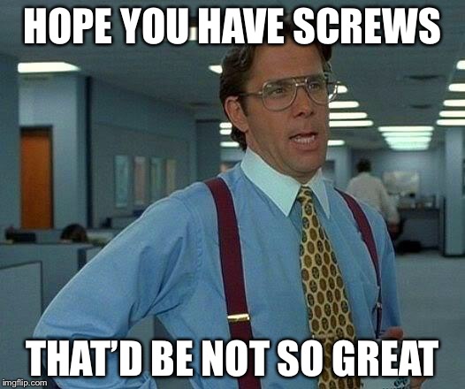 That Would Be Great Meme | HOPE YOU HAVE SCREWS THAT’D BE NOT SO GREAT | image tagged in memes,that would be great | made w/ Imgflip meme maker