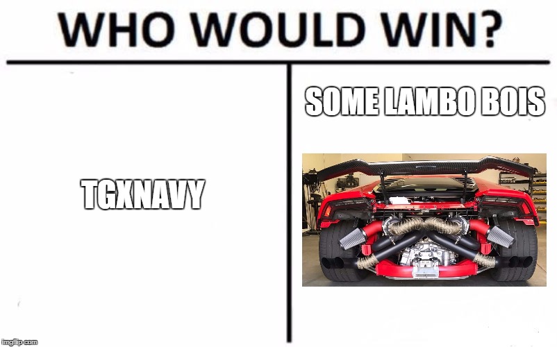 Who Would Win? Meme | SOME LAMBO BOIS; TGXNAVY | image tagged in who would win | made w/ Imgflip meme maker