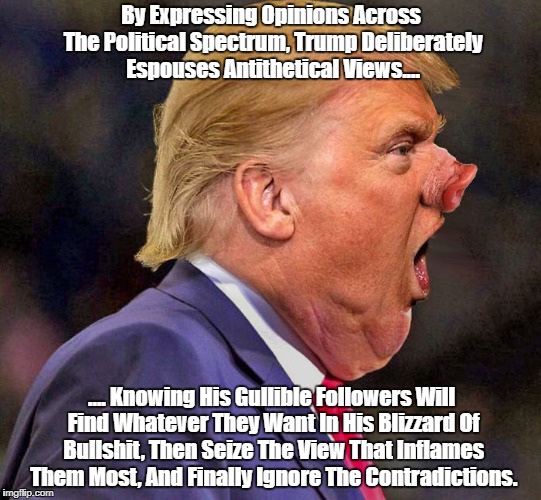"Trump Say Any Damned Thing... And Gets Away With It" | By Expressing Opinions Across The Political Spectrum, Trump Deliberately Espouses Antithetical Views.... .... Knowing His Gullible Followers Will Find Whatever They Want In His Blizzard Of Bullshit, Then Seize The View That Inflames Them Most, And Finally Ignore The Contradictions. | image tagged in deplorable donald,despicable donald,devious donald,dishonorable donald,dishonest donald,deceitful donald | made w/ Imgflip meme maker