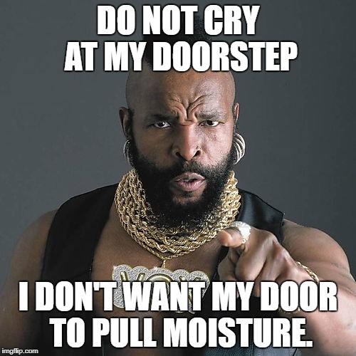 Mr T Pity The Fool Meme | DO NOT CRY AT MY DOORSTEP; I DON'T WANT MY DOOR TO PULL MOISTURE. | image tagged in memes,mr t pity the fool | made w/ Imgflip meme maker