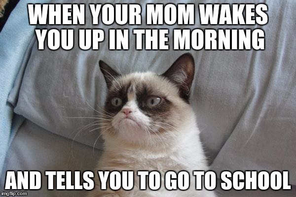 Grumpy Cat Bed | WHEN YOUR MOM WAKES YOU UP IN THE MORNING; AND TELLS YOU TO GO TO SCHOOL | image tagged in memes,grumpy cat bed,grumpy cat | made w/ Imgflip meme maker