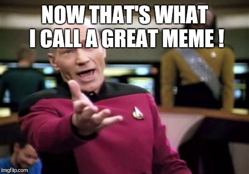 Picard Wtf Meme | NOW THAT'S WHAT I CALL A GREAT MEME ! | image tagged in memes,picard wtf | made w/ Imgflip meme maker