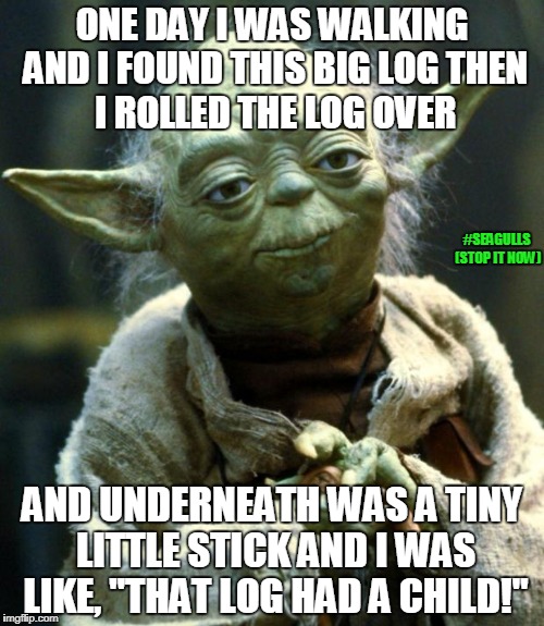 Star Wars Yoda | ONE DAY I WAS WALKING AND I FOUND THIS BIG LOG
THEN I ROLLED THE LOG OVER; #SEAGULLS (STOP IT NOW); AND UNDERNEATH WAS A TINY LITTLE STICK
AND I WAS LIKE, "THAT LOG HAD A CHILD!" | image tagged in memes,star wars yoda | made w/ Imgflip meme maker