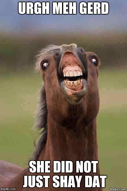 horse face | URGH MEH GERD; SHE DID NOT JUST SHAY DAT | image tagged in horse face | made w/ Imgflip meme maker