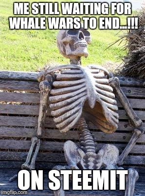 Waiting Skeleton Meme | ME STILL WAITING FOR WHALE WARS TO END...!!! ON STEEMIT | image tagged in memes,waiting skeleton | made w/ Imgflip meme maker