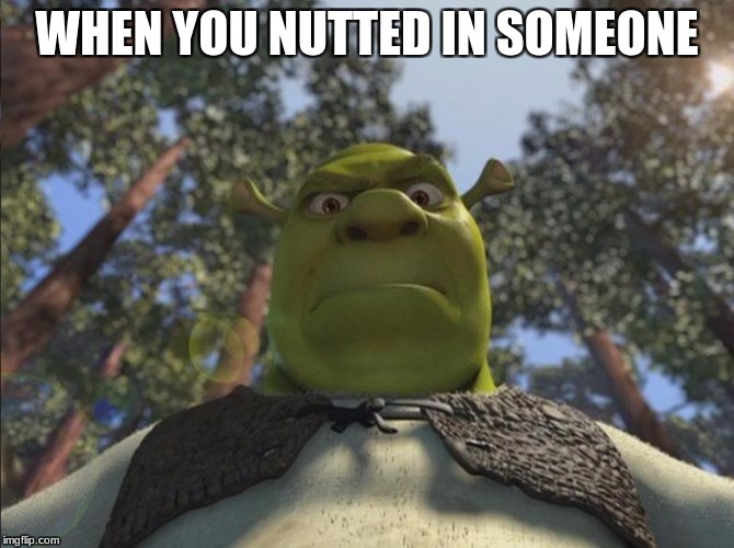 Shrek angry | WHEN YOU NUTTED IN SOMEONE | image tagged in shrek angry | made w/ Imgflip meme maker