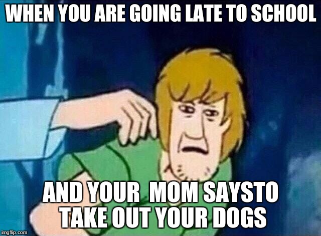 Scooby Doo Shaggy  | WHEN YOU ARE GOING LATE TO SCHOOL; AND YOUR  MOM SAYSTO TAKE OUT YOUR DOGS | image tagged in scooby doo shaggy | made w/ Imgflip meme maker