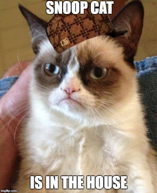 Grumpy Cat Meme | SNOOP CAT; IS IN THE HOUSE | image tagged in memes,grumpy cat,scumbag | made w/ Imgflip meme maker