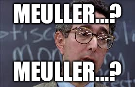 Ferris Bueller Ben Stein | MEULLER...? MEULLER...? | image tagged in ferris bueller ben stein | made w/ Imgflip meme maker