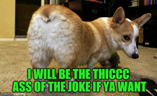 I WILL BE THE THICCC ASS OF THE JOKE IF YA WANT | made w/ Imgflip meme maker