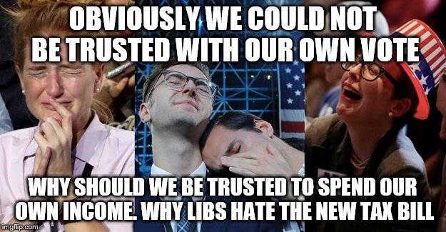 Hillary fans | OBVIOUSLY WE COULD NOT BE TRUSTED WITH OUR OWN VOTE; WHY SHOULD WE BE TRUSTED TO SPEND OUR OWN INCOME. WHY LIBS HATE THE NEW TAX BILL | image tagged in hillary fans | made w/ Imgflip meme maker