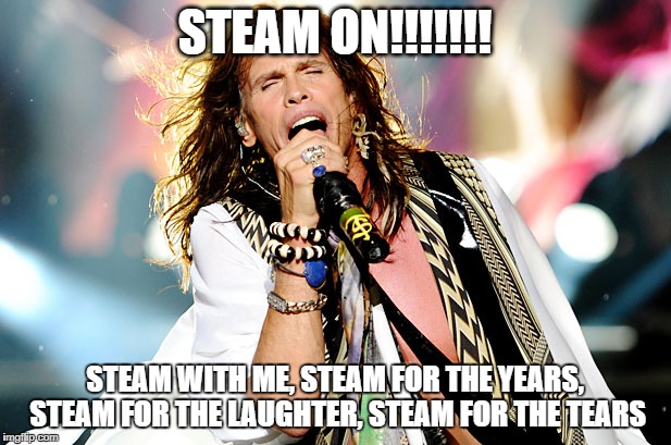 Steven Tyler | STEAM ON!!!!!!! STEAM WITH ME, STEAM FOR THE YEARS, STEAM FOR THE LAUGHTER, STEAM FOR THE TEARS | image tagged in steven tyler | made w/ Imgflip meme maker