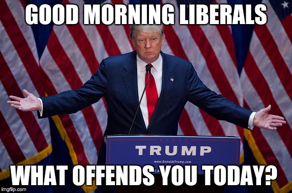 Donald Trump | GOOD MORNING LIBERALS; WHAT OFFENDS YOU TODAY? | image tagged in donald trump | made w/ Imgflip meme maker