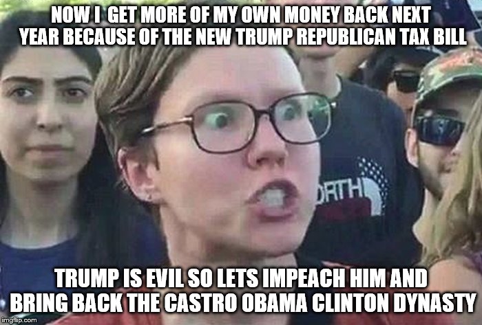 Triggered Liberal | NOW I  GET MORE OF MY OWN MONEY BACK NEXT YEAR BECAUSE OF THE NEW TRUMP REPUBLICAN TAX BILL; TRUMP IS EVIL SO LETS IMPEACH HIM AND BRING BACK THE CASTRO OBAMA CLINTON DYNASTY | image tagged in triggered liberal | made w/ Imgflip meme maker