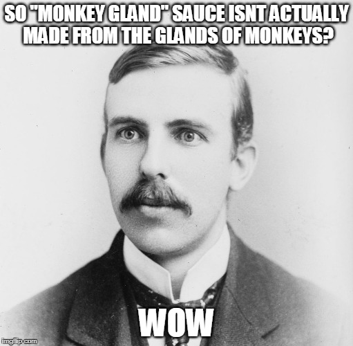 "wow" | SO "MONKEY GLAND" SAUCE ISNT ACTUALLY MADE FROM THE GLANDS OF MONKEYS? WOW | image tagged in wow | made w/ Imgflip meme maker