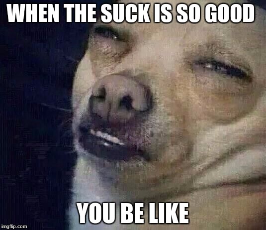 Too Dank |  WHEN THE SUCK IS SO GOOD; YOU BE LIKE | image tagged in too dank | made w/ Imgflip meme maker
