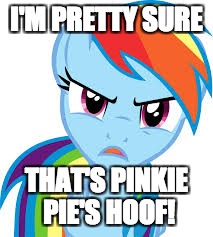 Angry Rainbow Dash | I'M PRETTY SURE THAT'S PINKIE PIE'S HOOF! | image tagged in angry rainbow dash | made w/ Imgflip meme maker