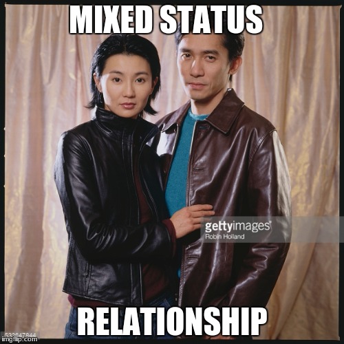 they both have hiv | MIXED STATUS; RELATIONSHIP | image tagged in hiroko | made w/ Imgflip meme maker