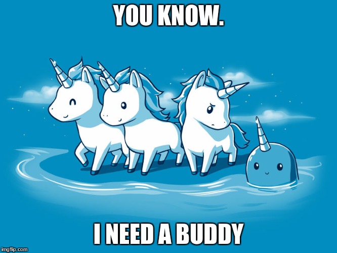 uni-narwhals | YOU KNOW. I NEED A BUDDY | image tagged in uni-narwhals | made w/ Imgflip meme maker