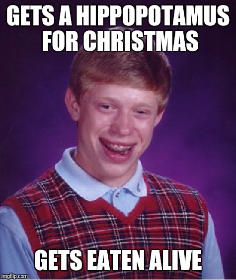 Bad Luck Brian | GETS A HIPPOPOTAMUS FOR CHRISTMAS; GETS EATEN ALIVE | image tagged in memes,bad luck brian | made w/ Imgflip meme maker
