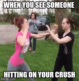 fighting girls | WHEN YOU SEE SOMEONE; HITTING ON YOUR CRUSH | image tagged in bullshit | made w/ Imgflip meme maker