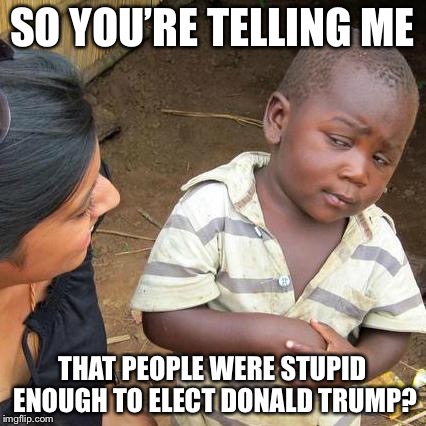 Third World Skeptical Kid | SO YOU’RE TELLING ME; THAT PEOPLE WERE STUPID ENOUGH TO ELECT DONALD TRUMP? | image tagged in memes,third world skeptical kid | made w/ Imgflip meme maker